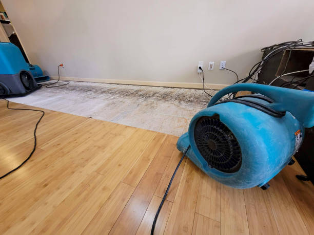 Professional Emergency Water Damage technician working in Fitchburg, MA